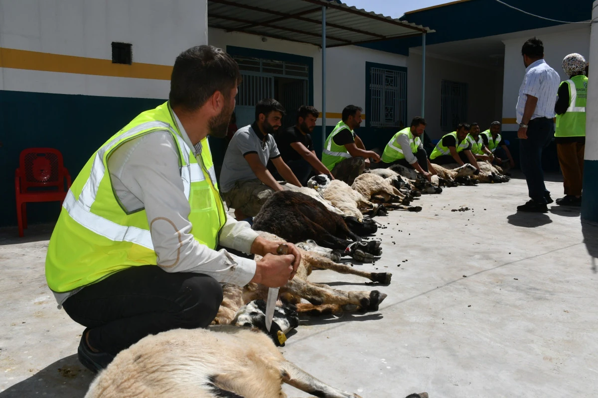 Başıbüyük Uluslararası Yardım Kuruluşundan Ailelere Destek