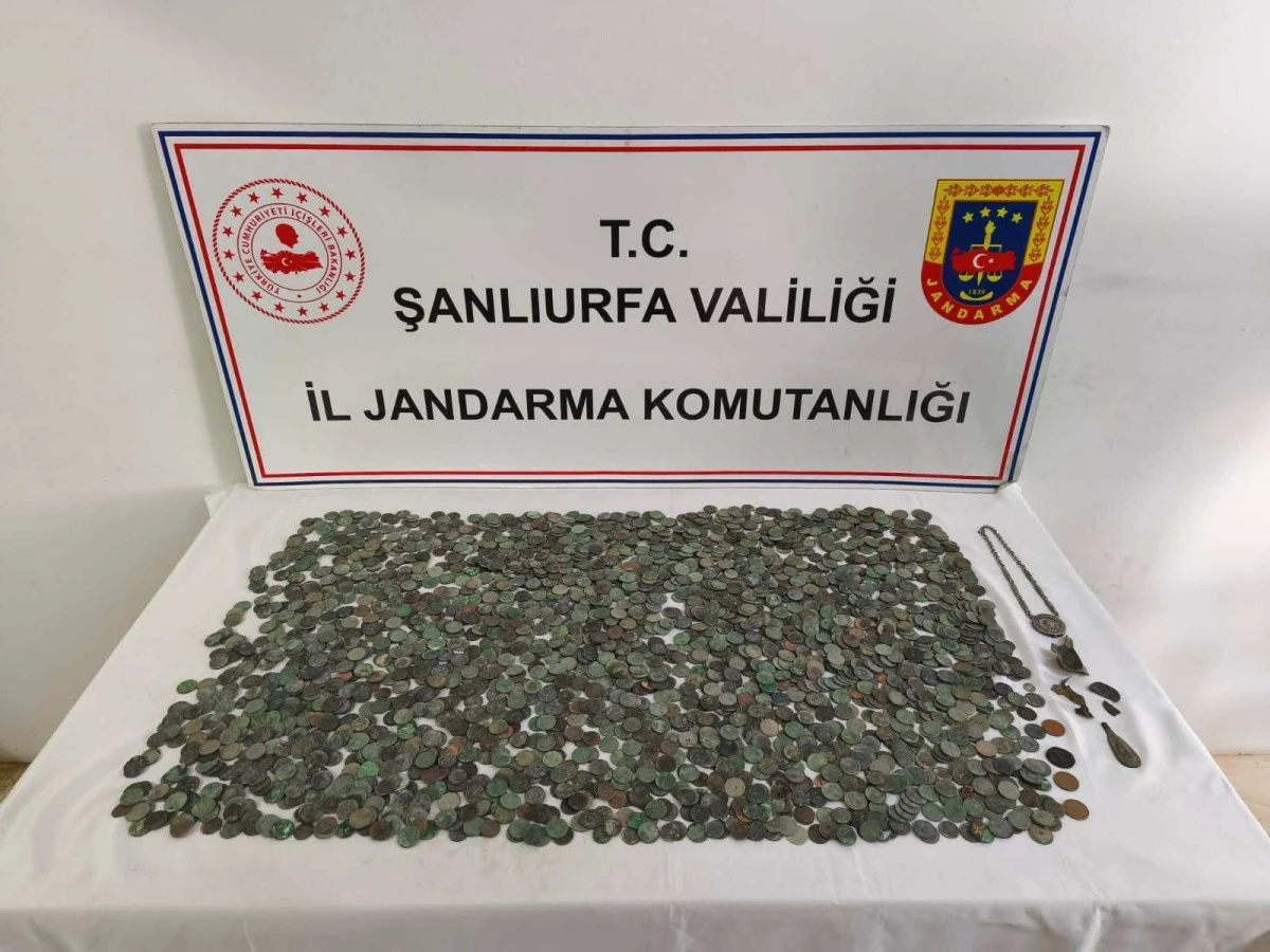Ceylanpınar&rsquo;da Tarihi Eser Operasyonu: Binlerce Sikke Ele Ge&ccedil;irildi