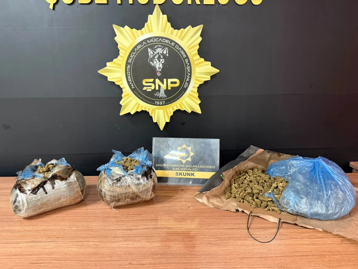 Şanlıurfa&rsquo;da ara&ccedil;ta 3 kilo 650 gram esrar ele ge&ccedil;irildi