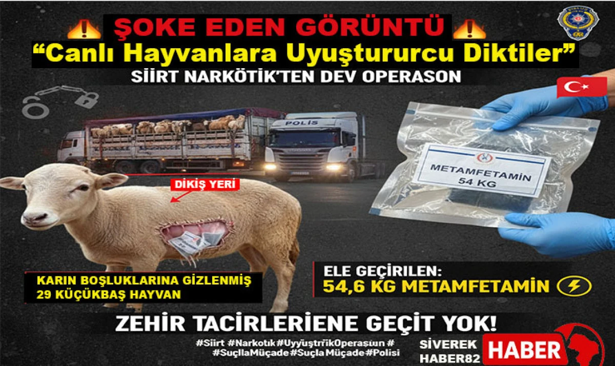 Siirt'te Şoke Eden Y&ouml;ntem: Uyuşturucuyu Canlı Hayvanların Karanlarına Dikmişler!
