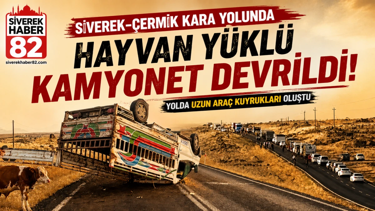 Siverek-&Ccedil;ermik kara yolunda hayvan y&uuml;kl&uuml; kamyonet devrildi