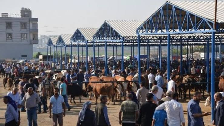 Siverekli Besicilere Büyük Şok: 800 Milyon TL’lik Vurgun İddiası