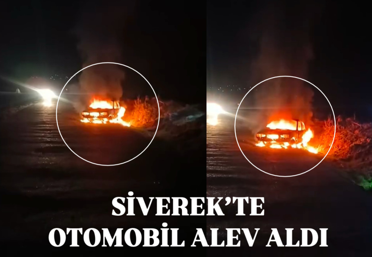 Siverek’te Araç Alevlere Teslim Oldu