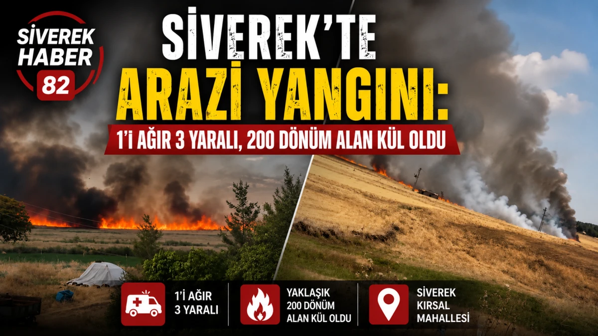 Siverek&rsquo;te arazi yangını: 1&rsquo;i ağır 3 yaralı, 200 d&ouml;n&uuml;m alan k&uuml;l oldu