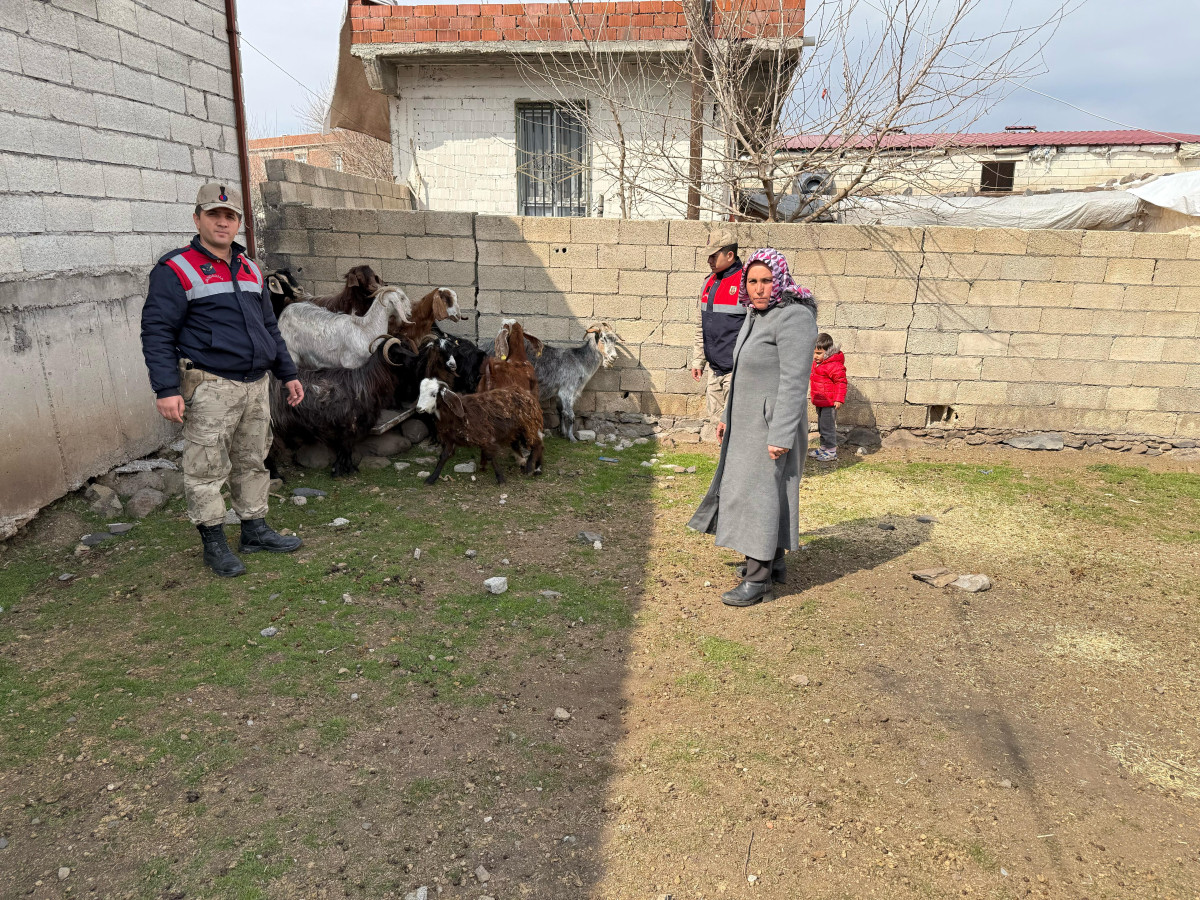 Siverek’te Çalınan 51 Küçükbaş Hayvan Sahibine Teslim Edildi