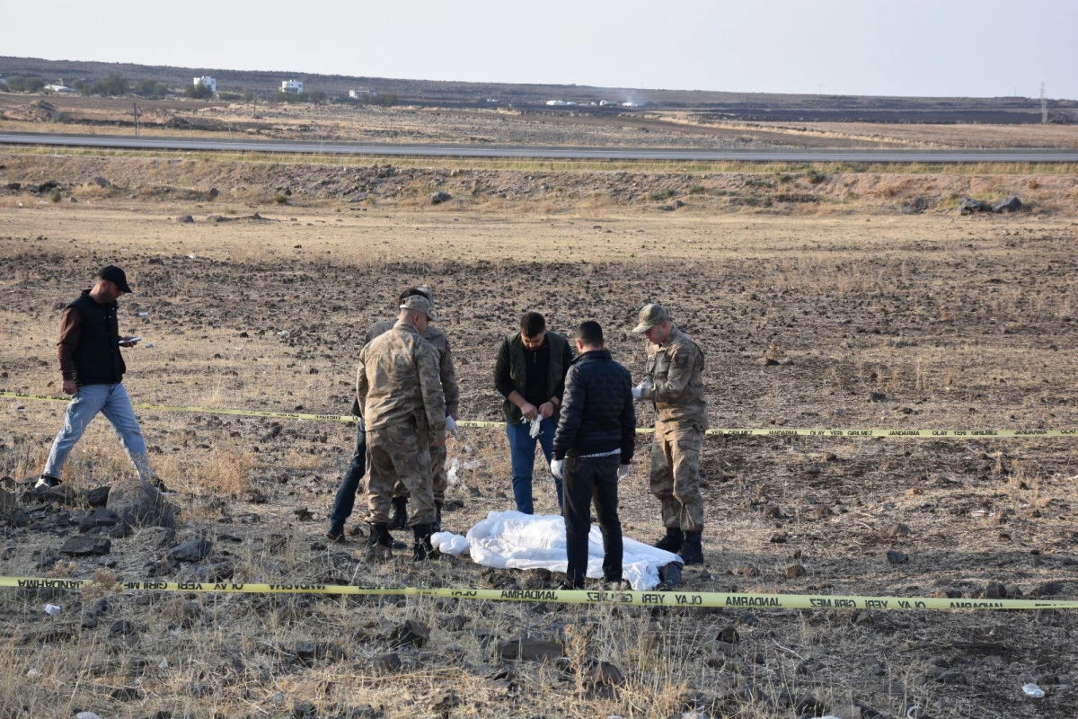Siverek’te faili meçhul cinayet aydınlatıldı: 2 kişi gözaltına alındı