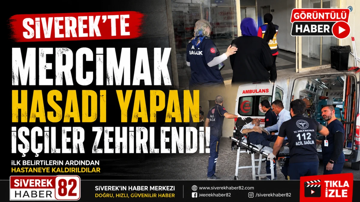 Siverek'te Mercimek Hasadı Yapan İş&ccedil;iler Gıda Zehirlenmesi Yaşadı
