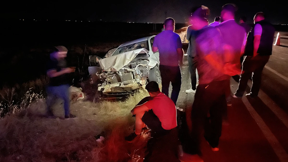 Siverek&rsquo;te otomobil koyun s&uuml;r&uuml;s&uuml;ne daldı: 3 yaralı, 11 koyun telef oldu