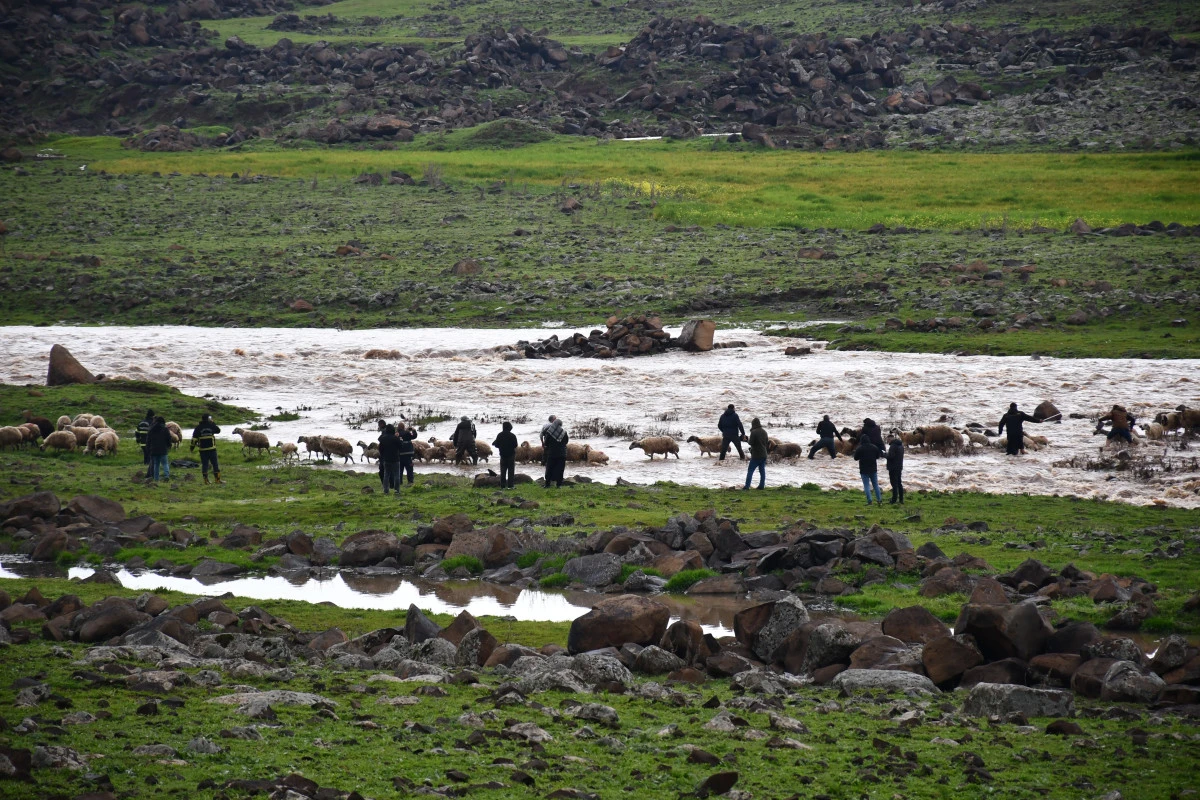 Siverek&rsquo;te sağanak sonrası derede mahsur kalan &ccedil;oban ve koyun s&uuml;r&uuml;s&uuml; kurtarıldı