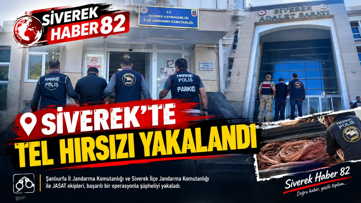 Siverek’te tel hırsızı yakalandı