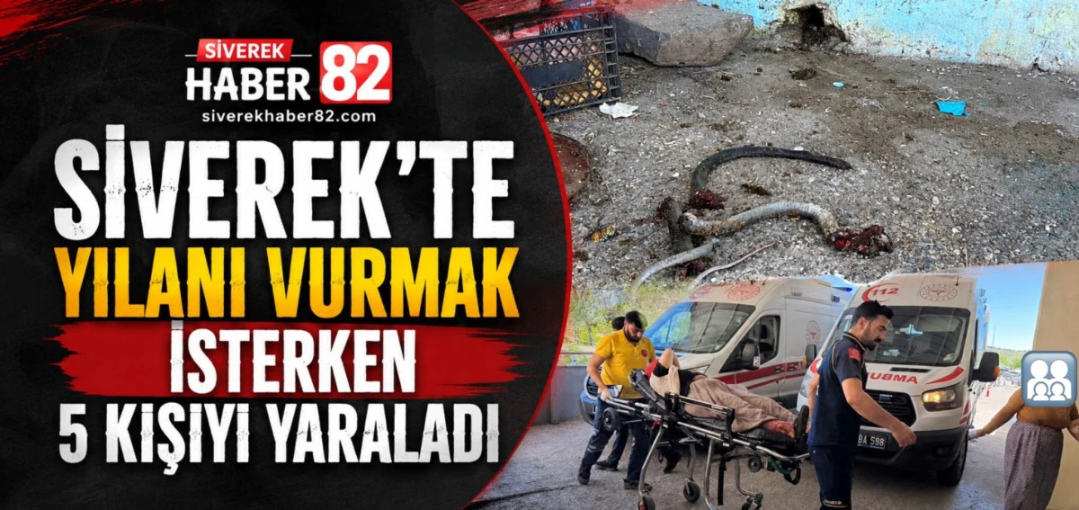 Yılanı Vurmak İsterken 5 Kişiyi Yaraladı